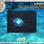 SubHuman Demo CD-ROM - Sea Life Screen (Copyright Michael Ryan and Mark Schultz)